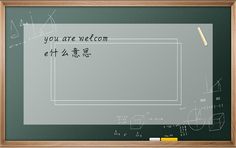 you are welcome什么意思