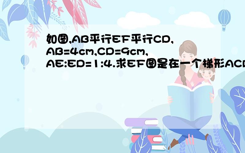 如图,AB平行EF平行CD,AB=4cm,CD=9cm,AE:ED=1:4.求EF图是在一个梯形ACDB中,点E、F分别在AC与BD上