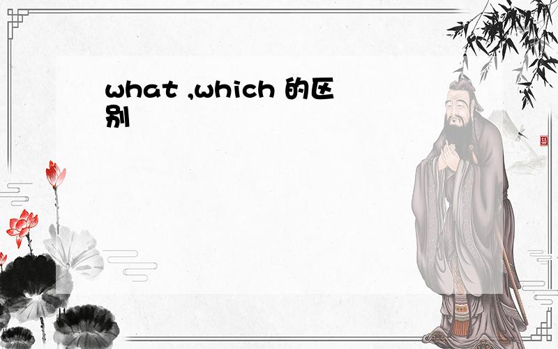what ,which 的区别