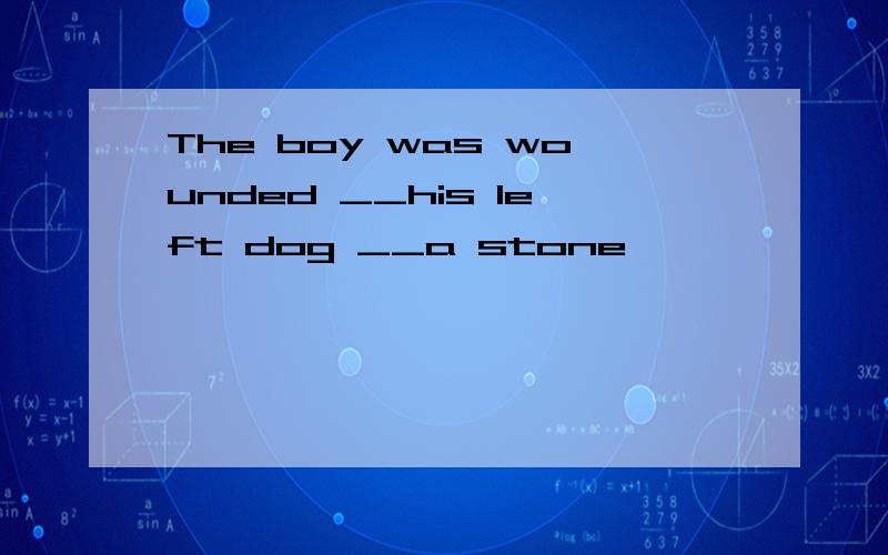 The boy was wounded __his left dog __a stone