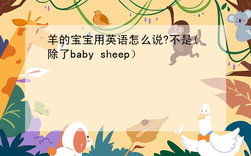 羊的宝宝用英语怎么说?不是(除了baby sheep）