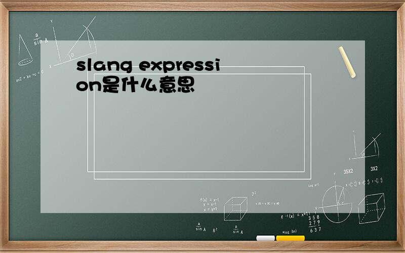 slang expression是什么意思