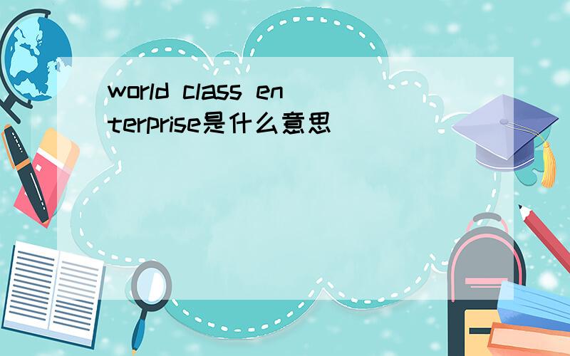world class enterprise是什么意思