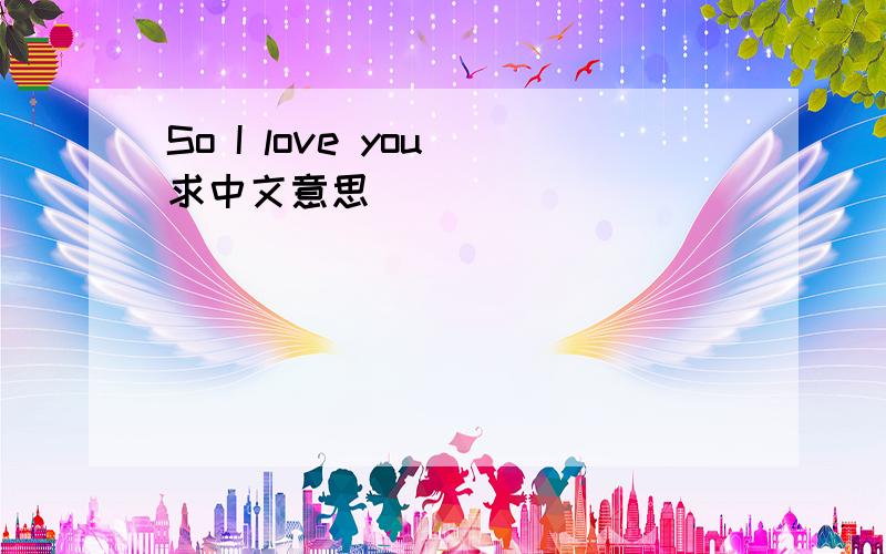 So I love you 求中文意思