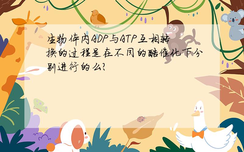 生物体内ADP与ATP互相转换的过程是在不同的酶催化下分别进行的么?