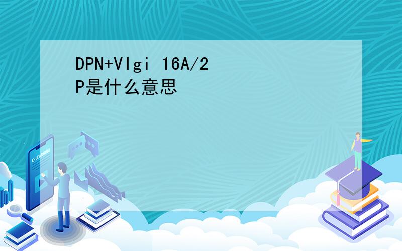 DPN+VIgi 16A/2P是什么意思