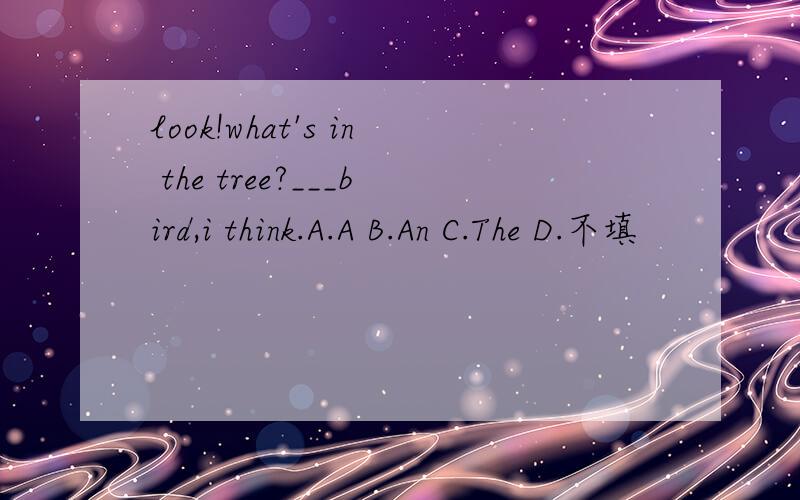look!what's in the tree?___bird,i think.A.A B.An C.The D.不填
