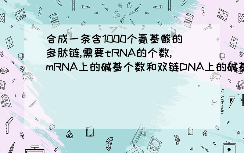 合成一条含1000个氨基酸的多肽链,需要tRNA的个数,mRNA上的碱基个数和双链DNA上的碱基对数至少是?答案分别是1000个，3000个，3000对