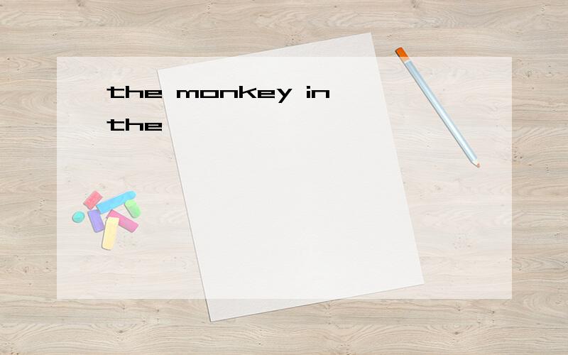the monkey in the