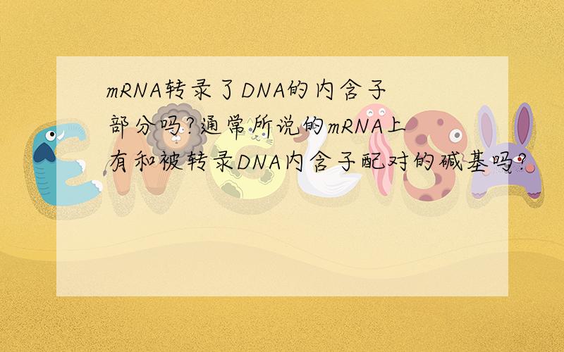 mRNA转录了DNA的内含子部分吗?通常所说的mRNA上有和被转录DNA内含子配对的碱基吗?