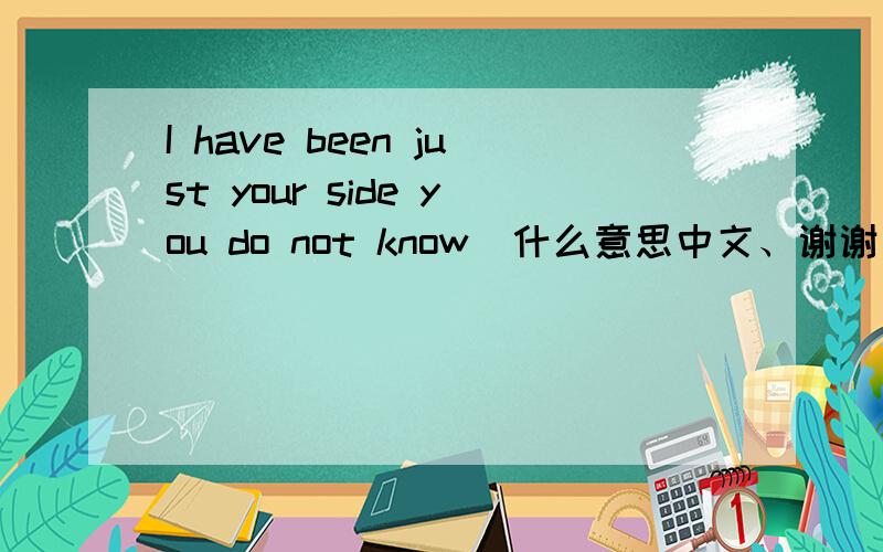 I have been just your side you do not know  什么意思中文、谢谢 快点